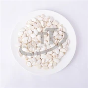 Snow White Pumpkinseeds