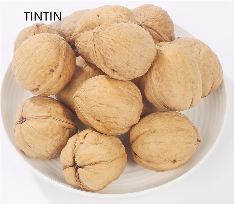 Best Price Chinese Walnut in Shell