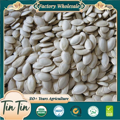 Best Quaility Shine Skin Pumpkin Seed