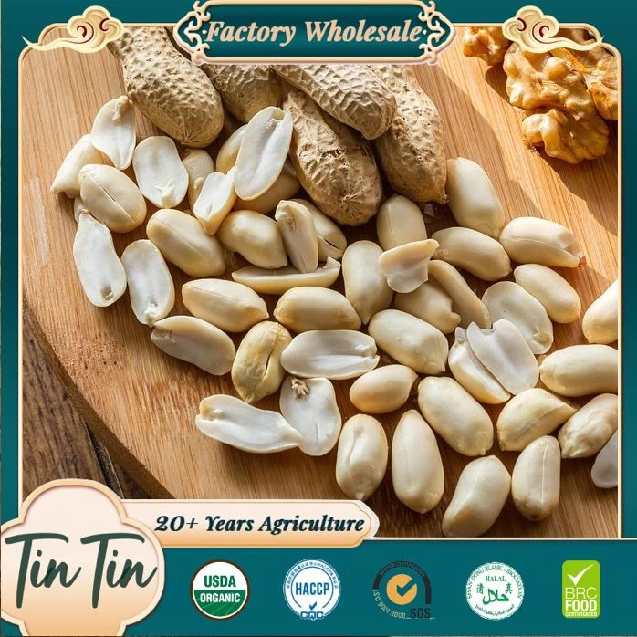Premium Blanched Peanut Kernels Nutritious Gold