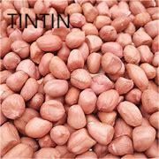 Chinese Origin Red Skin Peanuts Raw Peanuts Kernels Without Shell