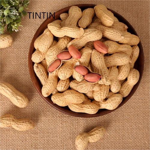 Chinese Roasted Peanut in Shell