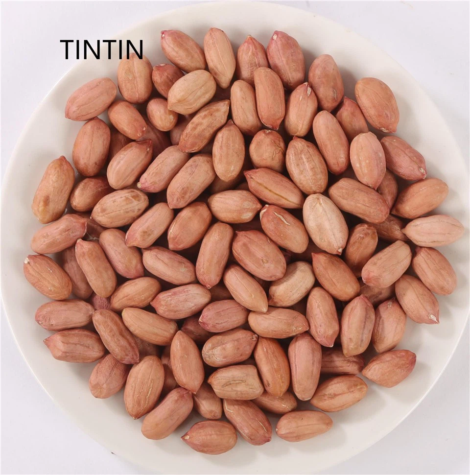 High Quality Chinese Peanut Kernels Supplier