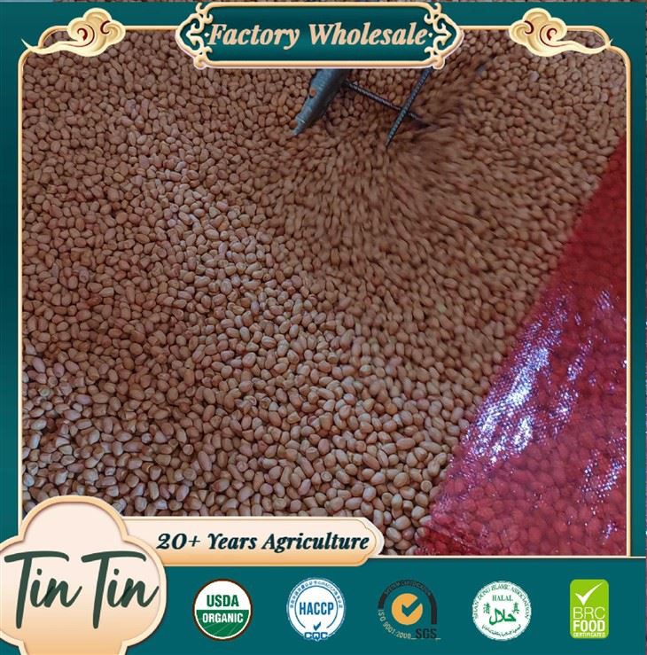 Premium Roasted Peanuts 5060 China