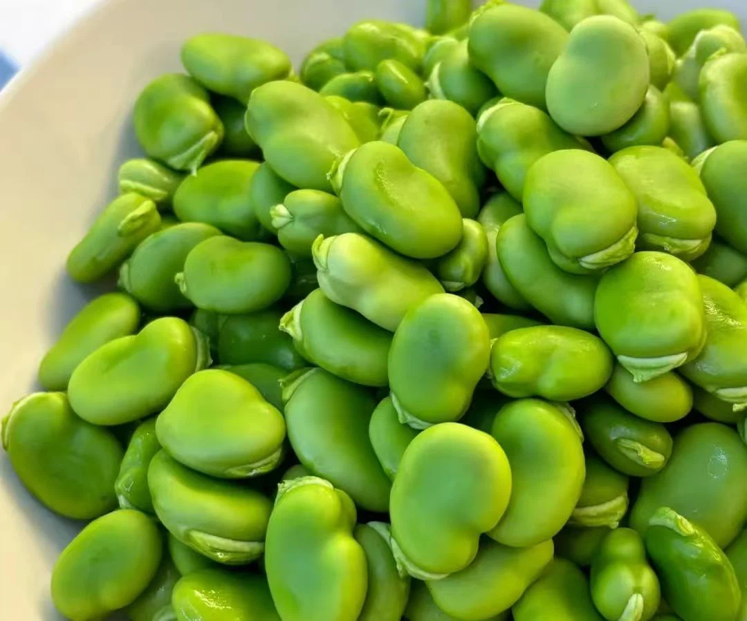 56c1b48454caabab0b1908a422df1d23 56c1b48454caabab0b1908a422df1d23