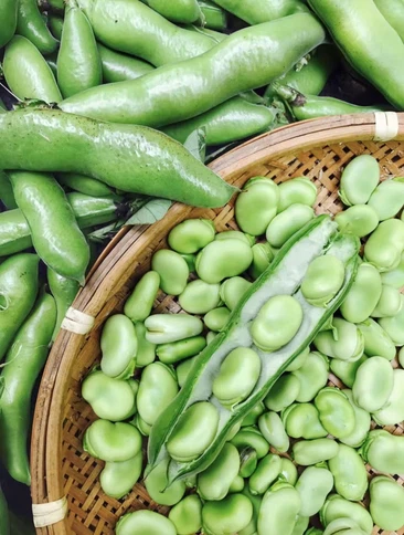 24146ae69ade7196a667ea37d53e2c21 24146ae69ade7196a667ea37d53e2c21