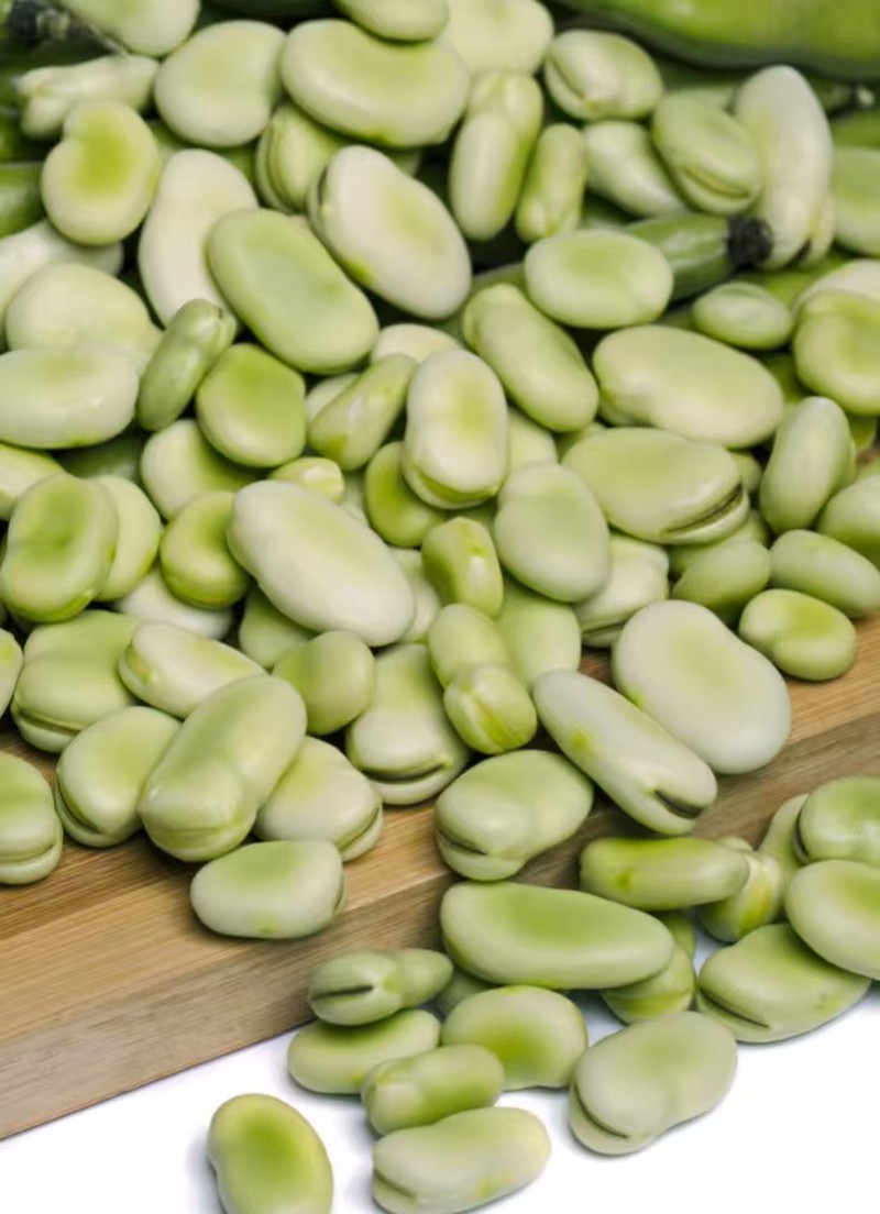 28fdedfcdd84b59d2b2824c4e5f9dae2 28fdedfcdd84b59d2b2824c4e5f9dae2