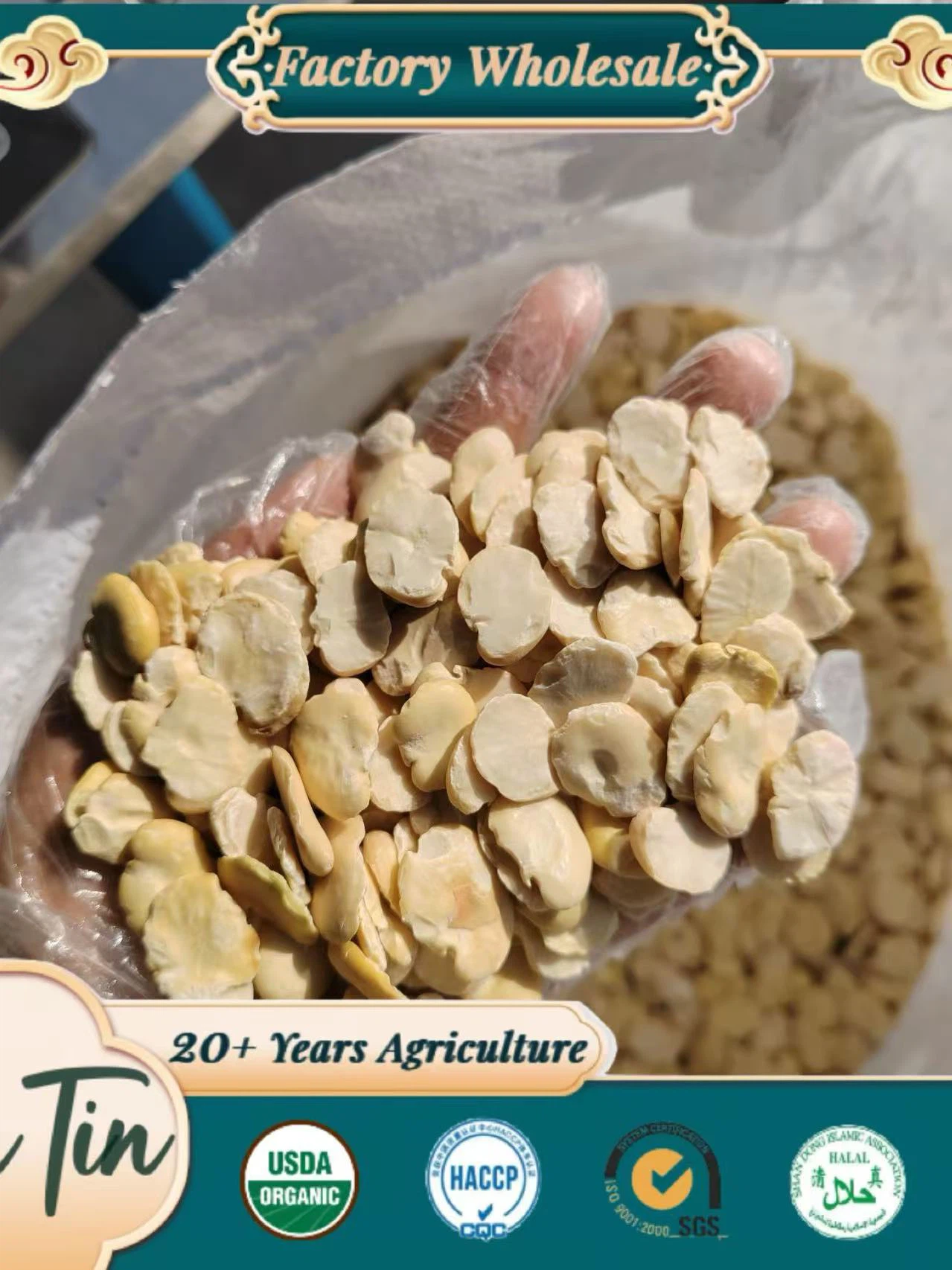 product-1279-1706 product-1279-1706