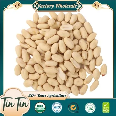 Blanched Peanut Kernels 25/29 2024 Crop