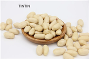 Chinese Origin New Crop Blanched Peanuts Dry Roasted Peanuts Kernels Without Red Skin