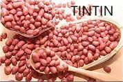 Chinese Peanut Kernels