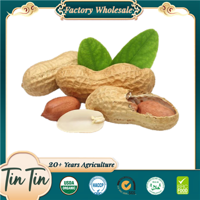 Crispy Roasted Garlic-Flavored Peanuts