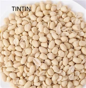 Discount Sale Chinese Blanched Peanut Kernels