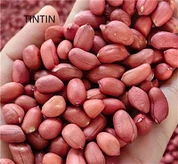 Factory Top Grade Red Skin Peanuts Kernels Best Price Raw Peanuts Without Shell High Quality