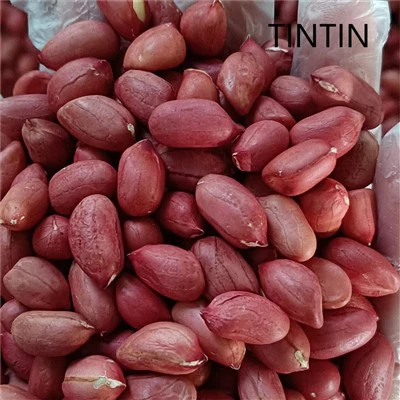 High Quality Chinese Red Skin Peanut Kernels