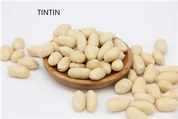High Quality Raw Peanuts Ground Nut Blanched Kernels At Low Price Offer Wholesale Manufacturing Supply