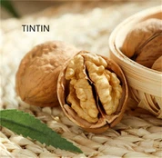 Hot Sale Natural Raw Walnuts in Shell Food Grade Healthy Organic Walnut Nuts High Quality Dried Walnuts For Sale in Bulk