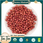 New Crop Red Skin 50-60