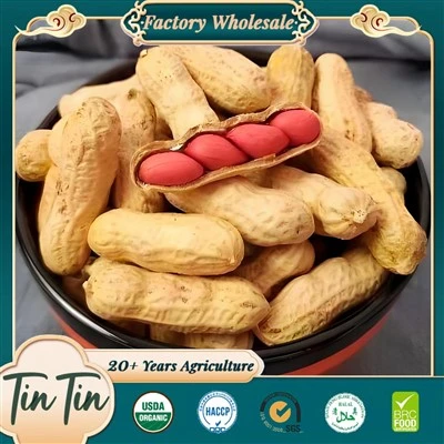 New Season Large Quantity Red Skin Peanut
