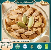 Lady Nail Pumpkin Seeds