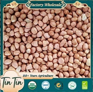 Premium Grade Shelled Peanuts