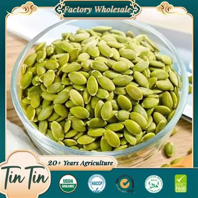 High Quality Pumpkin Seeds Kernels