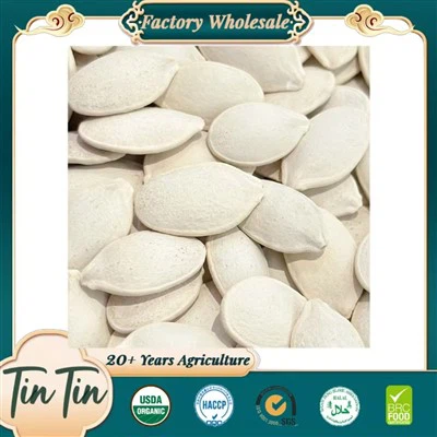 Snow White Pumpkin Seeds In Shell Food Grade