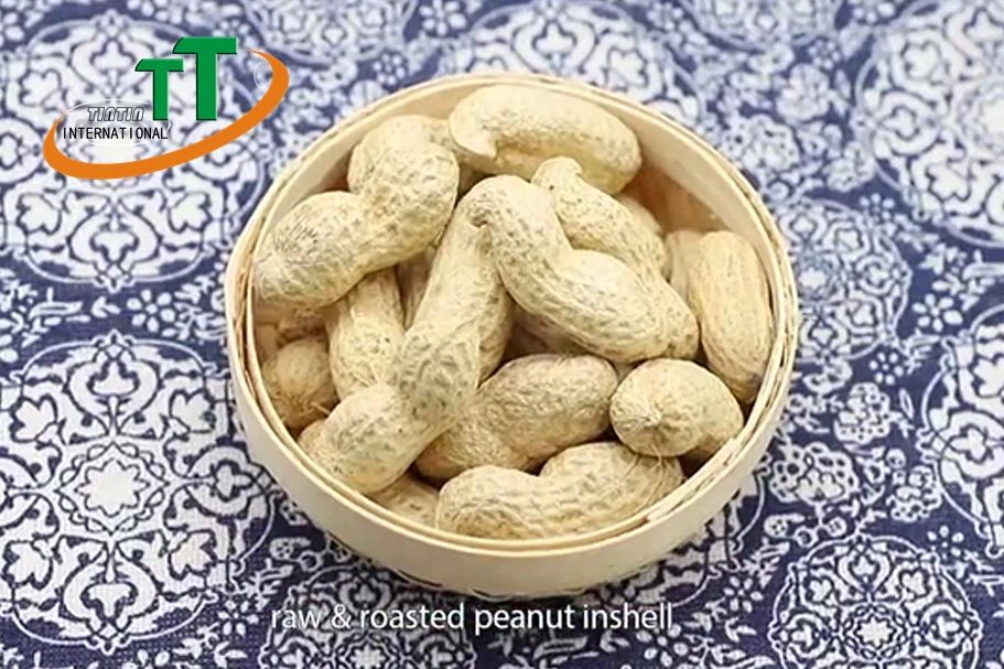 WASHED PEANUT IN SHELL
