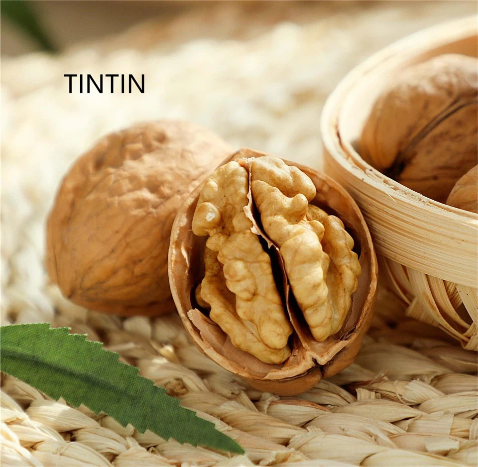 Whloesale Nutritious And Healthy Chinese Walnut in Shell